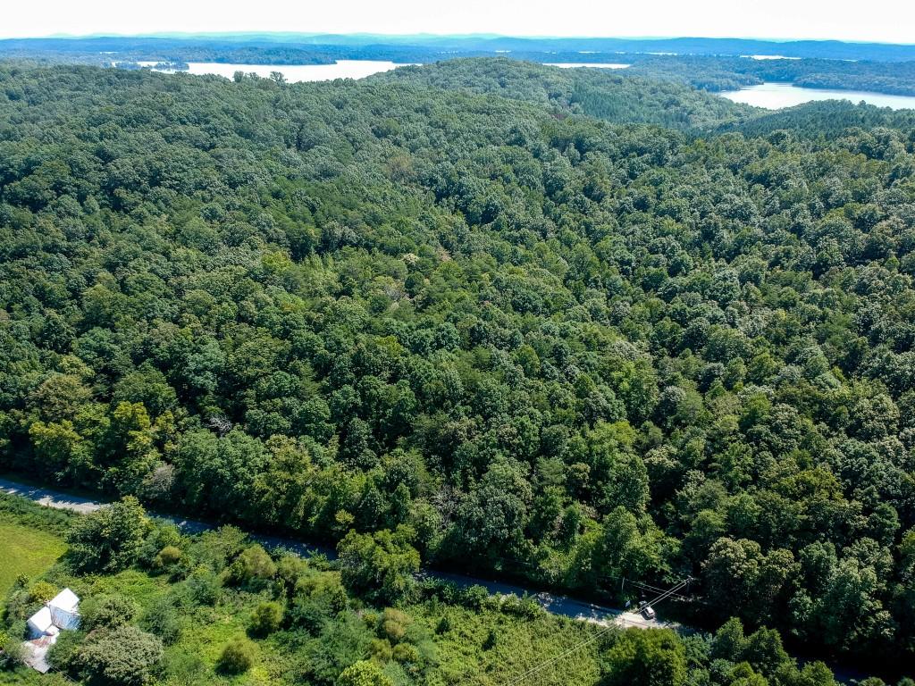 23.4-acres Toestring Valley Road Spring City, TN 37381 - Photo 12 of 40 toe string-1 drone (6)