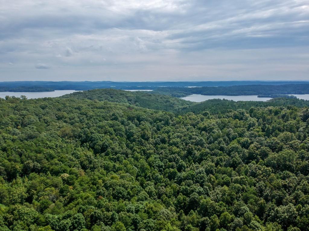 23.4-acres Toestring Valley Road Spring City, TN 37381 - Photo 13 of 40 toe string-1 drone (8)