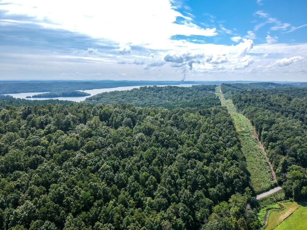 23.4-acres Toestring Valley Road Spring City, TN 37381 - Photo 14 of 40 toe string-1 drone (9)