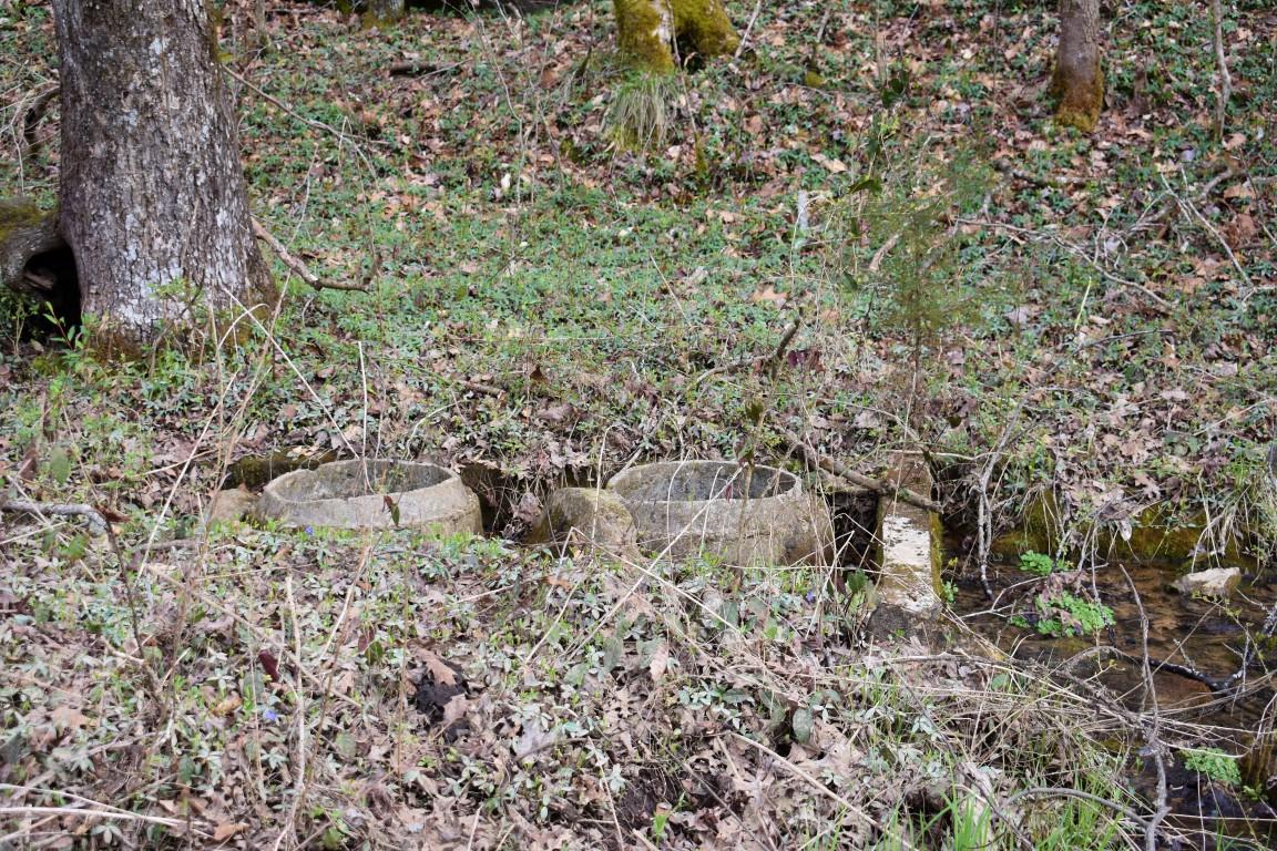 23.4-acres Toestring Valley Road Spring City, TN 37381 - Photo 15 of 40 DSC_0020 (Medium)
