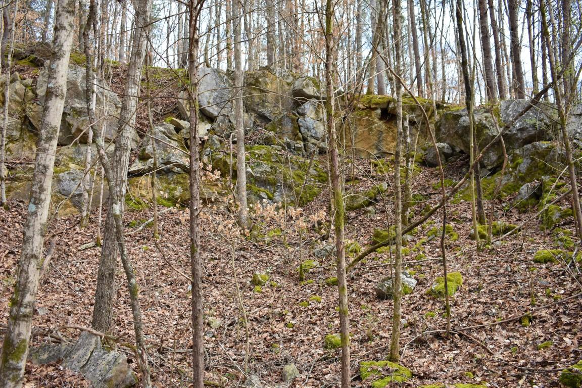 23.4-acres Toestring Valley Road Spring City, TN 37381 - Photo 19 of 40 DSC_0038 (Medium)
