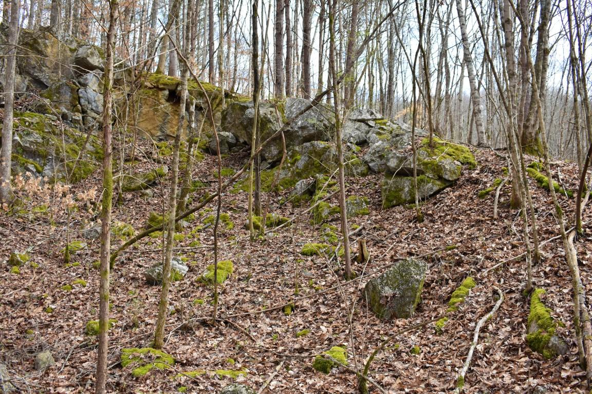 23.4-acres Toestring Valley Road Spring City, TN 37381 - Photo 20 of 40 DSC_0039 (Medium)
