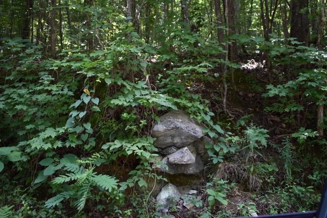 23.4-acres Toestring Valley Road Spring City, TN 37381 - Photo 3 of 40 Toestring 23 acre2