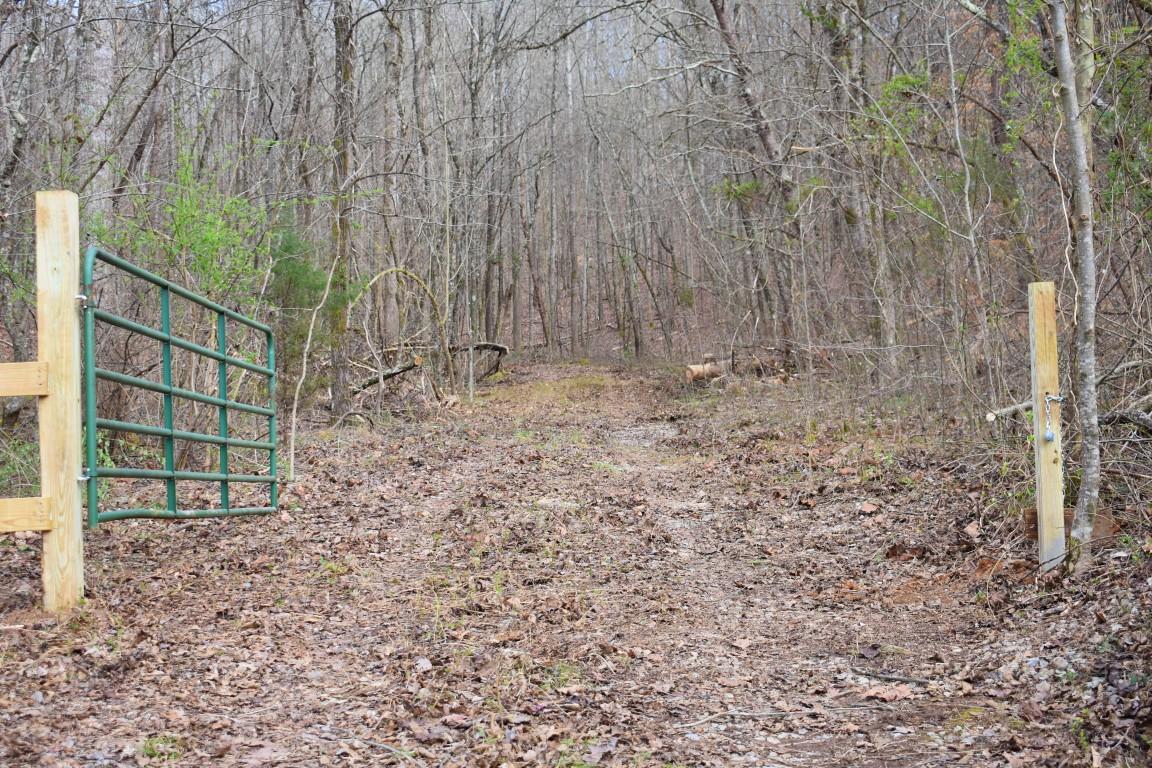 23.4-acres Toestring Valley Road Spring City, TN 37381 - Photo 24 of 40 DSC_0045 (Medium)