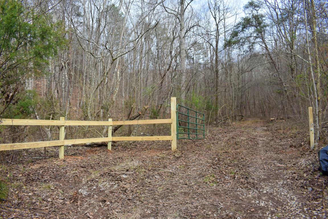 23.4-acres Toestring Valley Road Spring City, TN 37381 - Photo 25 of 40 DSC_0048 (Medium)