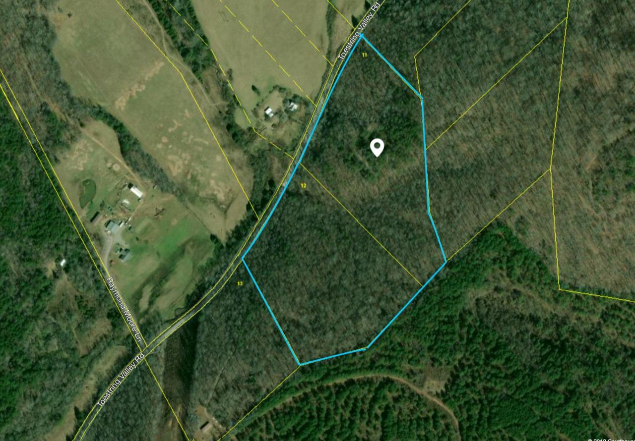 23.4-acres Toestring Valley Road Spring City, TN 37381 - Photo 4 of 40 Toestring Valley Rd 23 acres