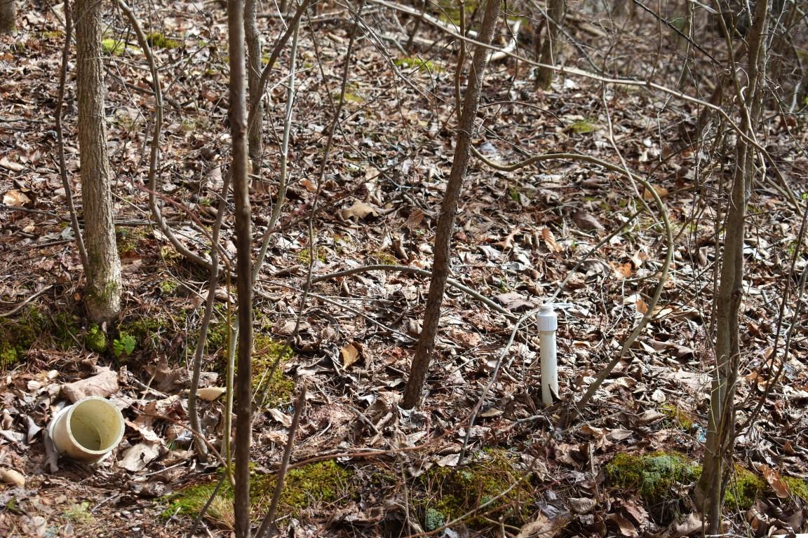 23.4-acres Toestring Valley Road Spring City, TN 37381 - Photo 36 of 40 DSC_1176 (Medium)