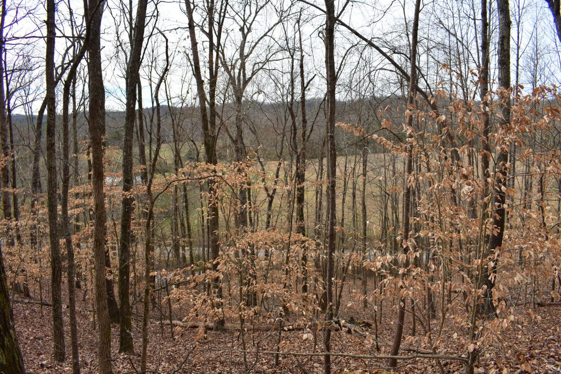 23.4-acres Toestring Valley Road Spring City, TN 37381 - Photo 39 of 40 DSC_0018 (Medium)