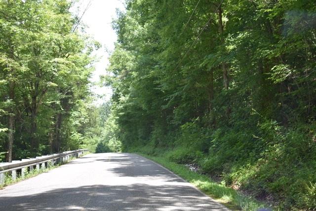 23.4-acres Toestring Valley Road Spring City, TN 37381 - Photo 5 of 40 Toestring 23 acre1