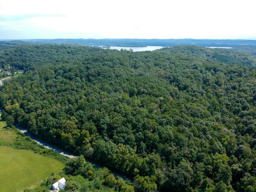 23.4-acres Toestring Valley Road Spring City, TN 37381 - Photo 9 of 40 toe string-1 drone (1)