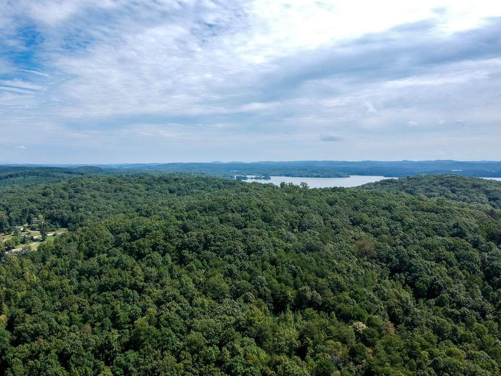 23.4-acres Toestring Valley Road Spring City, TN 37381 - Photo 10 of 40 toe string-1 drone (2)