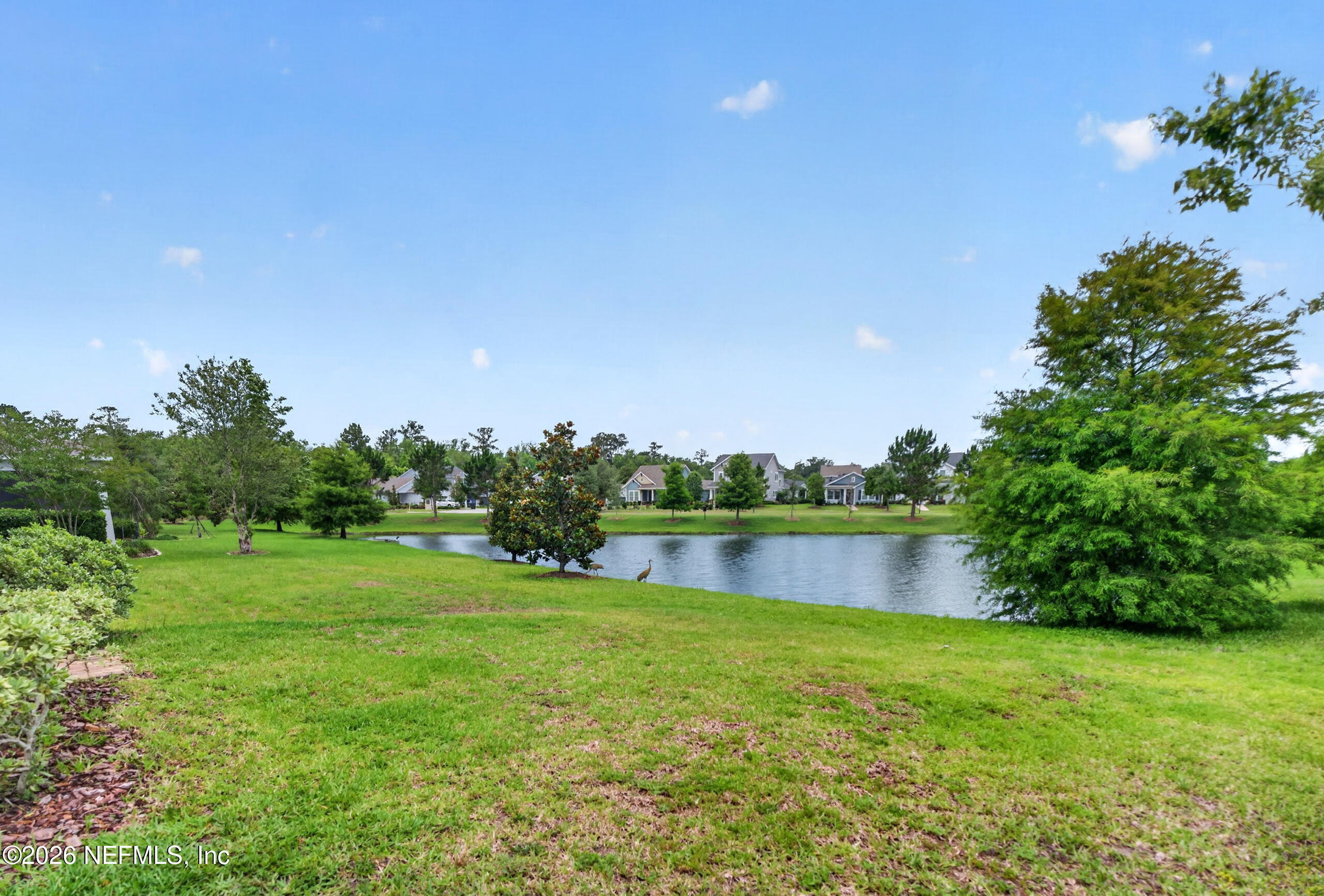 253 Ridgewind Drive St. Augustine, FL 32092 - Photo 48 of 125 Backyard