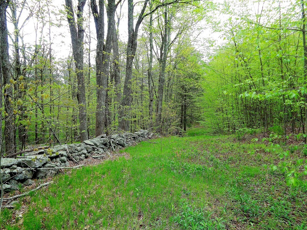 80 Allen Hill Road Brimfield, MA 01010 - Photo 3 of 8