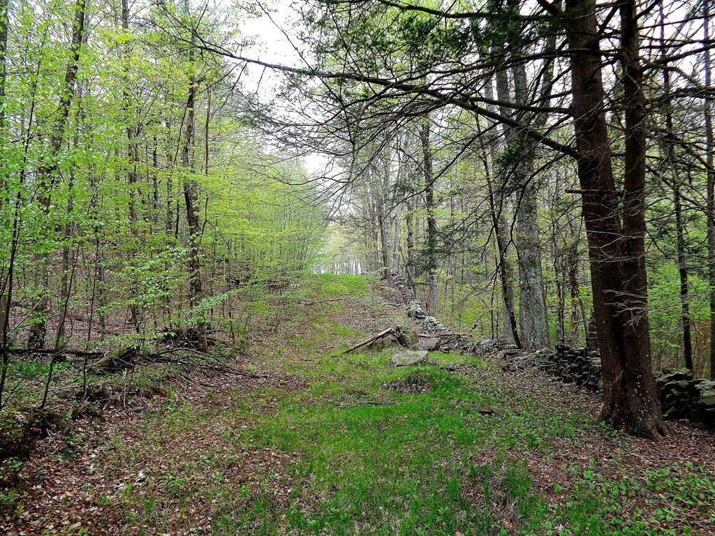 80 Allen Hill Road Brimfield, MA 01010 - Photo 4 of 8