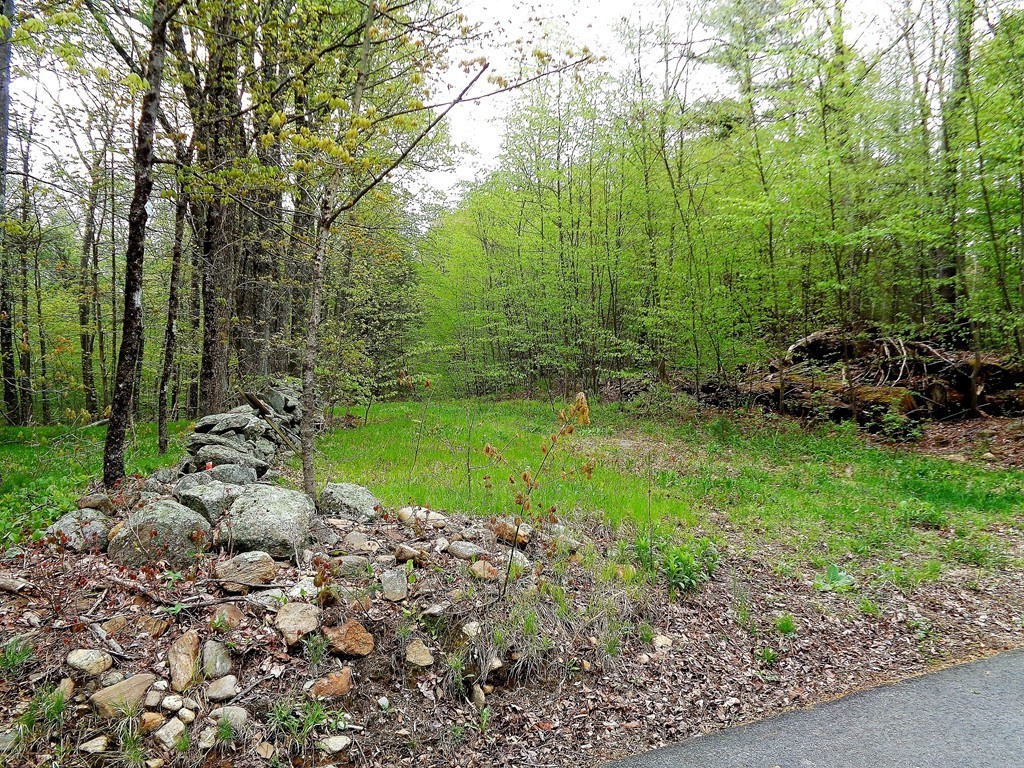 80 Allen Hill Road Brimfield, MA 01010 - Photo 6 of 8