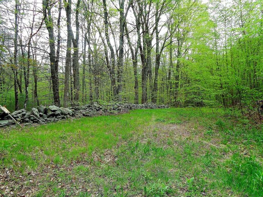 80 Allen Hill Road Brimfield, MA 01010 - Photo 8 of 8