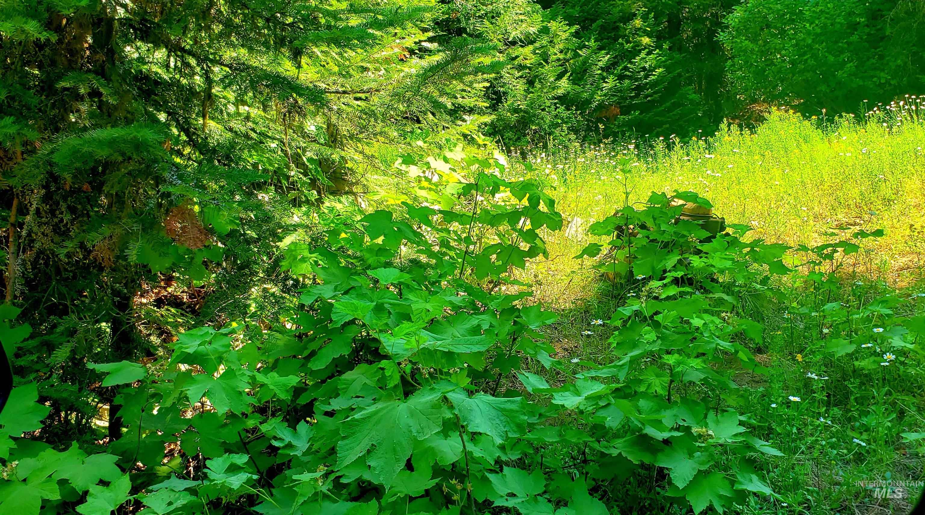 80 East Ridge Drive St. Maries, ID 83861 - Photo 11 of 33