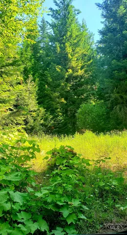 $62,000 | 80 East Ridge Drive, St. Maries, ID 83861