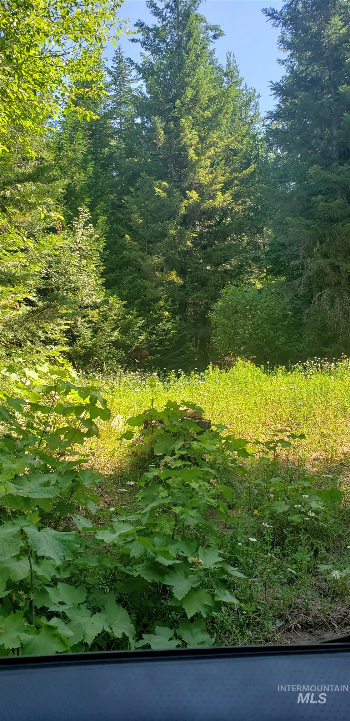 80 East Ridge Drive St. Maries, ID 83861 - Photo 13 of 33