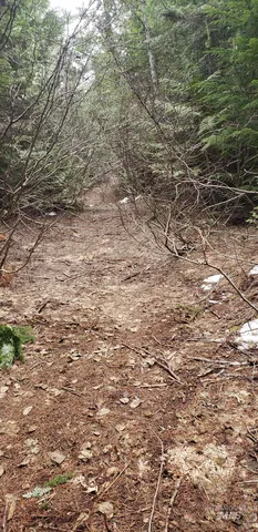 $62,000 | 80 East Ridge Drive, St. Maries, ID 83861