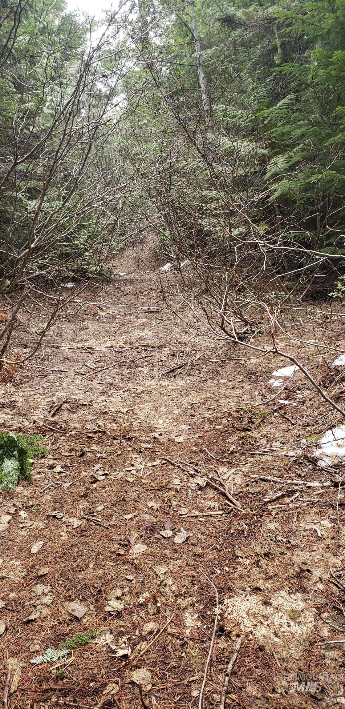 80 East Ridge Drive St. Maries, ID 83861 - Photo 15 of 33