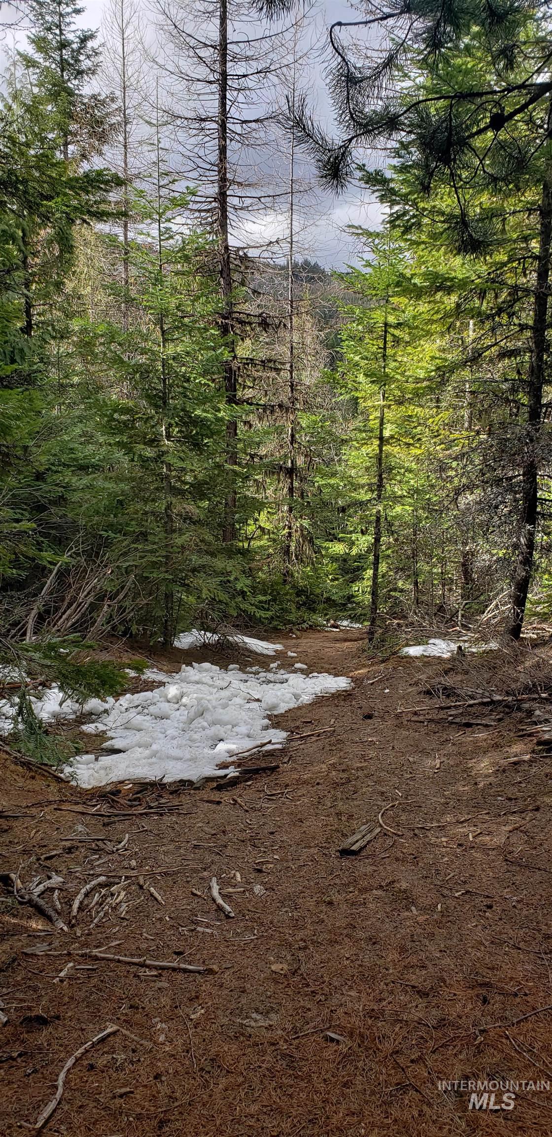 80 East Ridge Drive St. Maries, ID 83861 - Photo 17 of 33