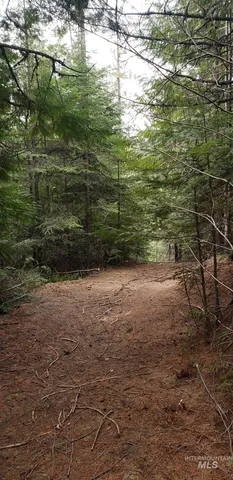 $62,000 | 80 East Ridge Drive, St. Maries, ID 83861