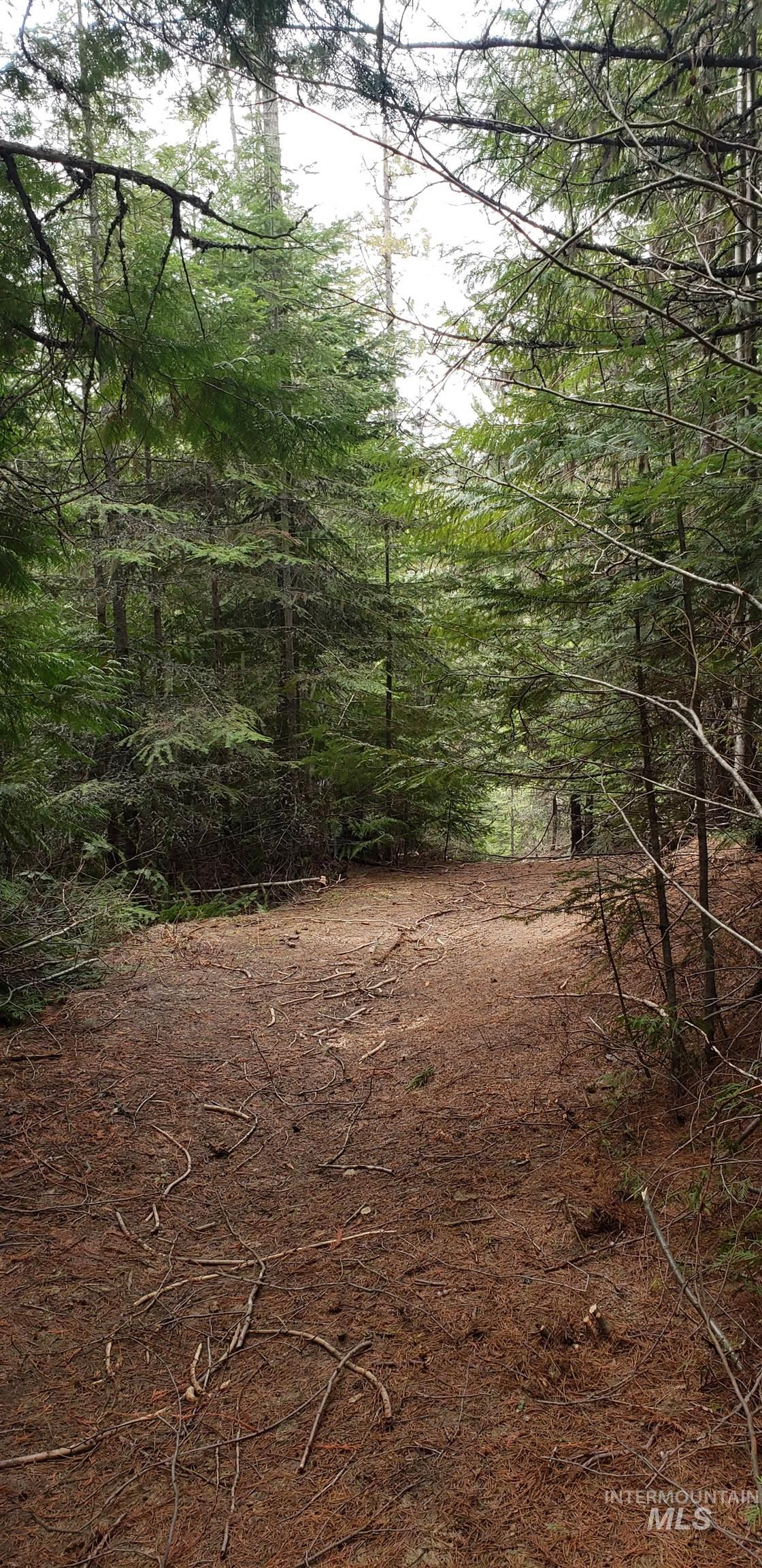 80 East Ridge Drive St. Maries, ID 83861 - Photo 18 of 33