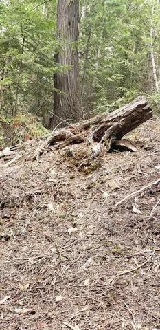 $62,000 | 80 East Ridge Drive, St. Maries, ID 83861