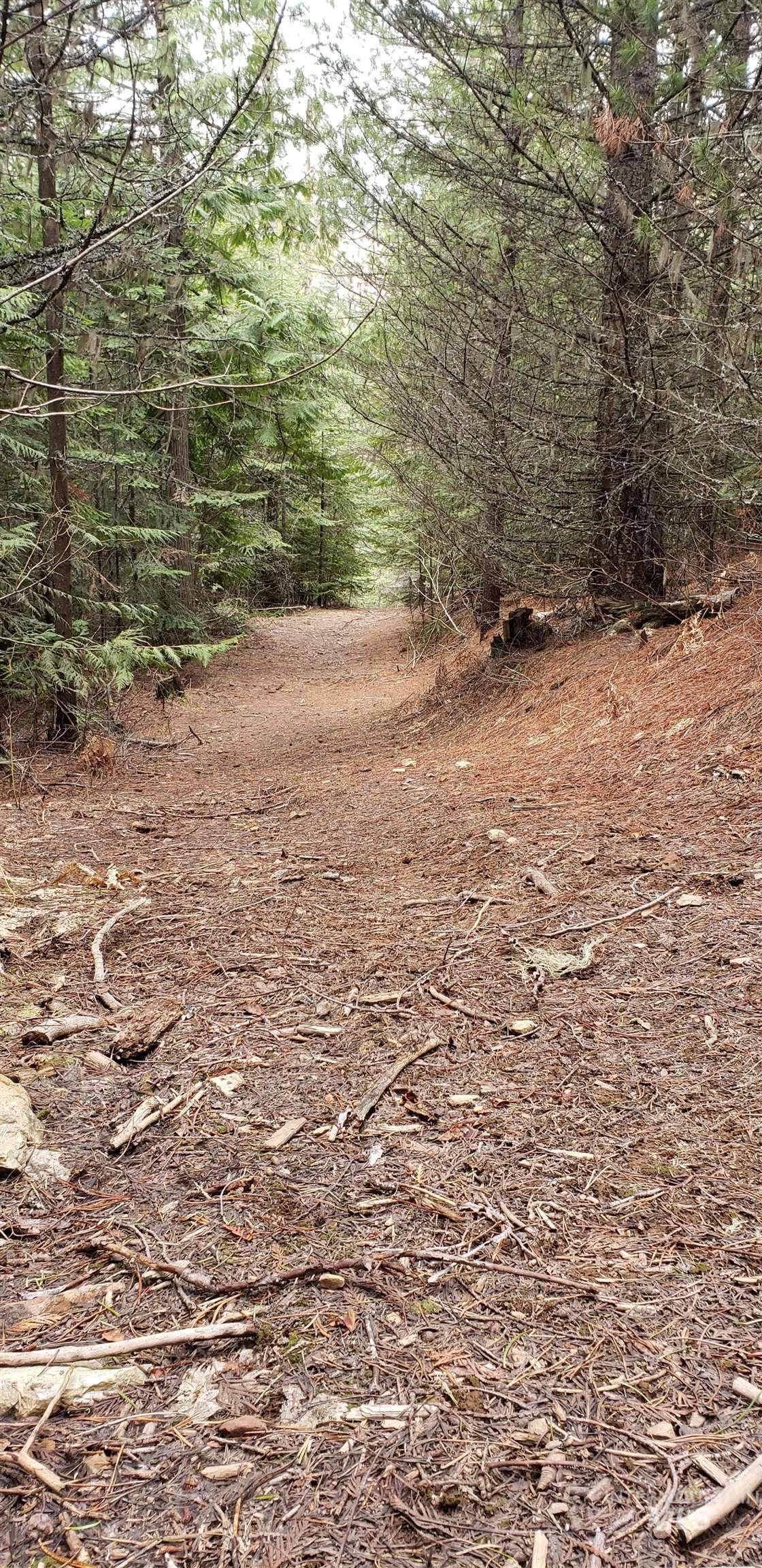 80 East Ridge Drive St. Maries, ID 83861 - Photo 20 of 33