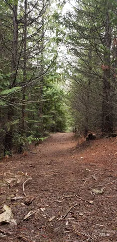 $62,000 | 80 East Ridge Drive, St. Maries, ID 83861