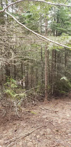 $62,000 | 80 East Ridge Drive, St. Maries, ID 83861