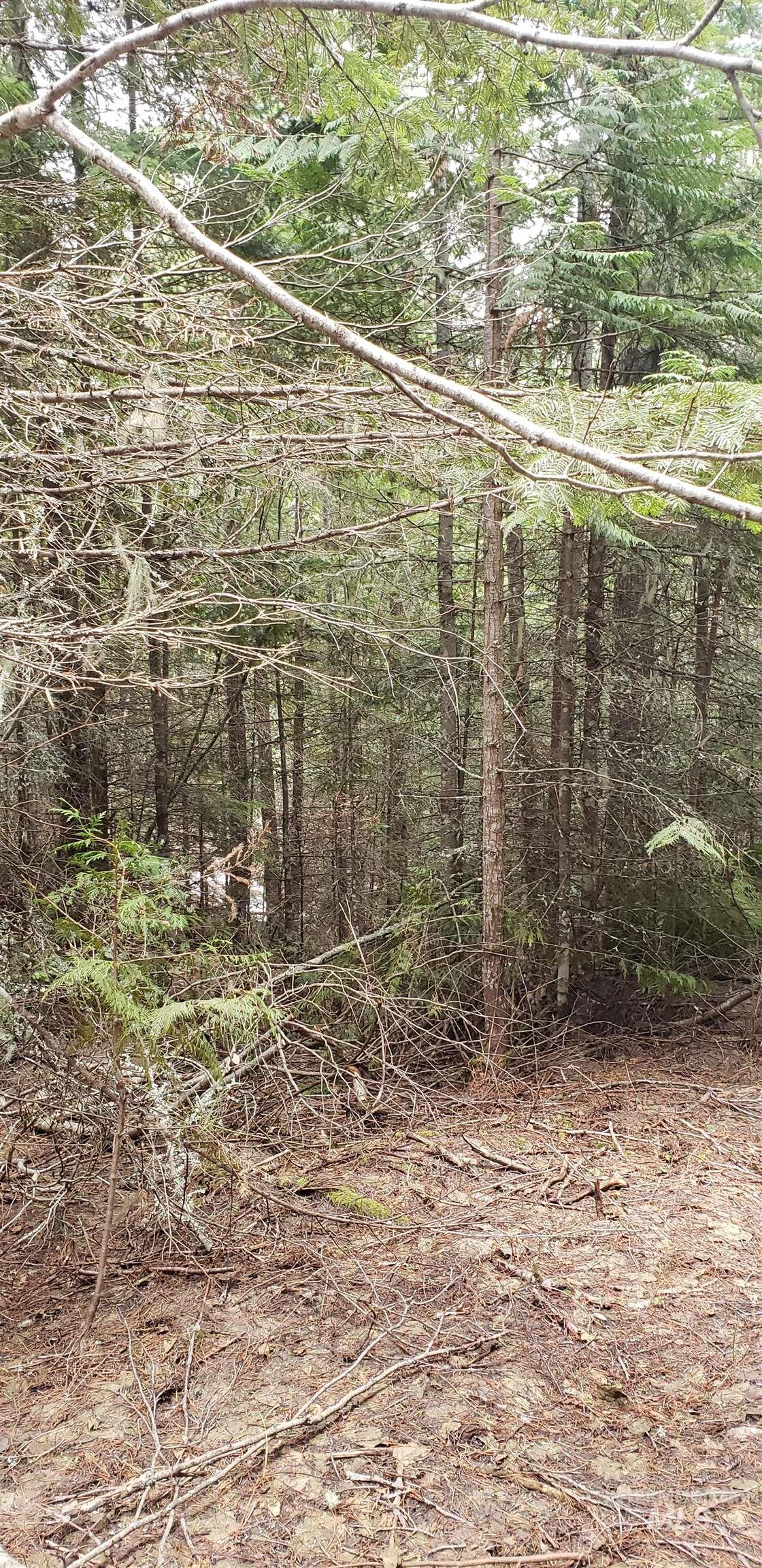 80 East Ridge Drive St. Maries, ID 83861 - Photo 22 of 33