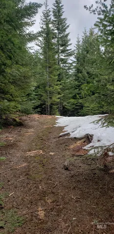 $62,000 | 80 East Ridge Drive, St. Maries, ID 83861