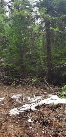 $62,000 | 80 East Ridge Drive, St. Maries, ID 83861