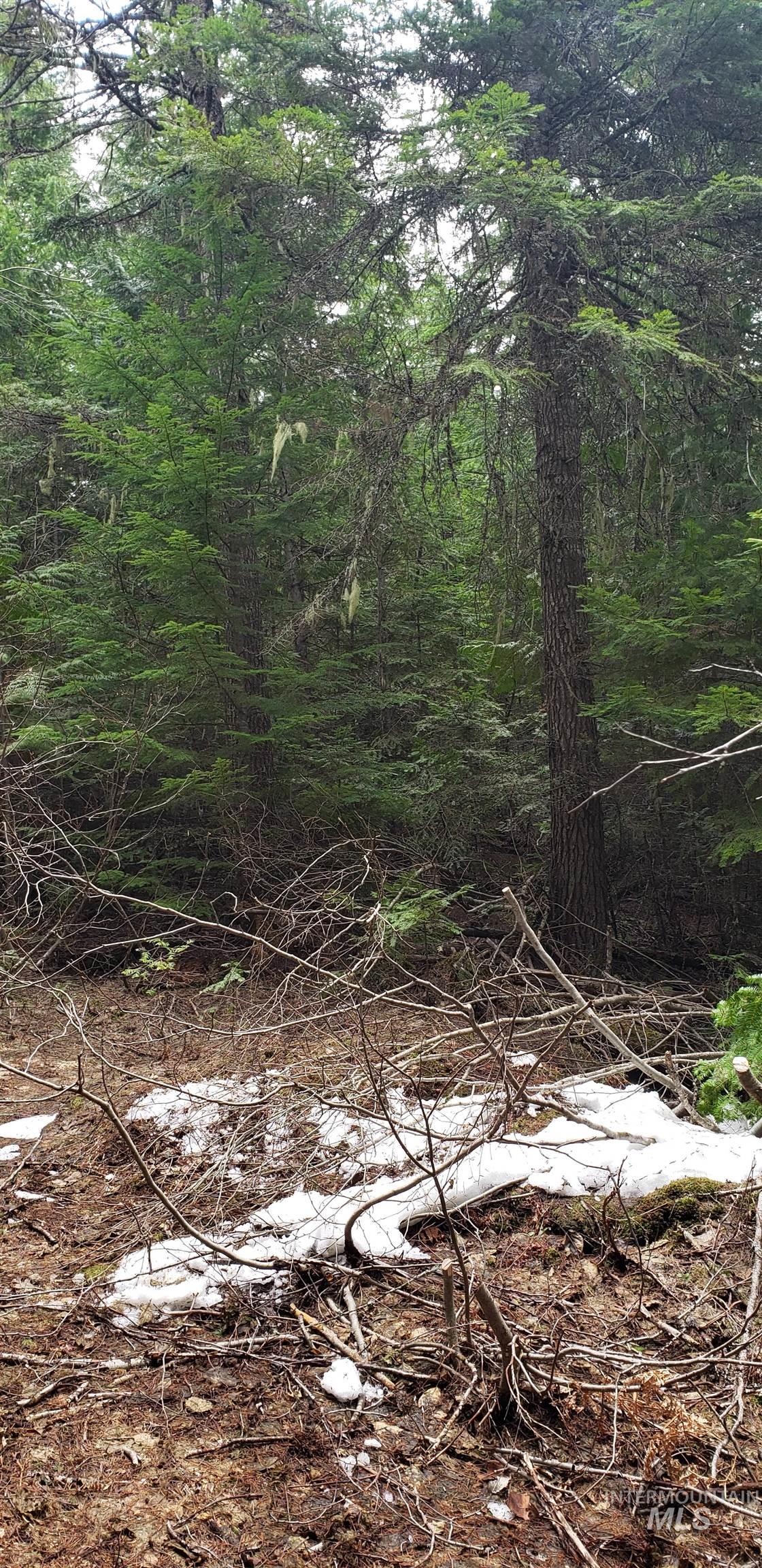 80 East Ridge Drive St. Maries, ID 83861 - Photo 24 of 33