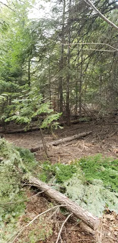 $62,000 | 80 East Ridge Drive, St. Maries, ID 83861