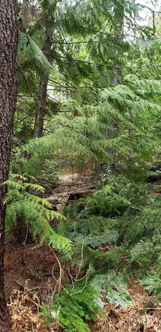 $62,000 | 80 East Ridge Drive, St. Maries, ID 83861