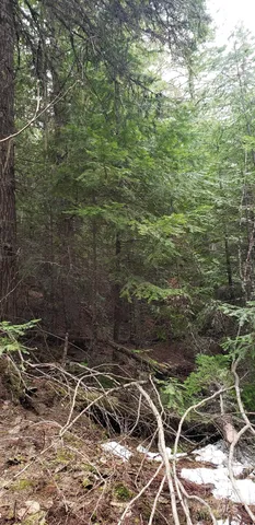 $62,000 | 80 East Ridge Drive, St. Maries, ID 83861