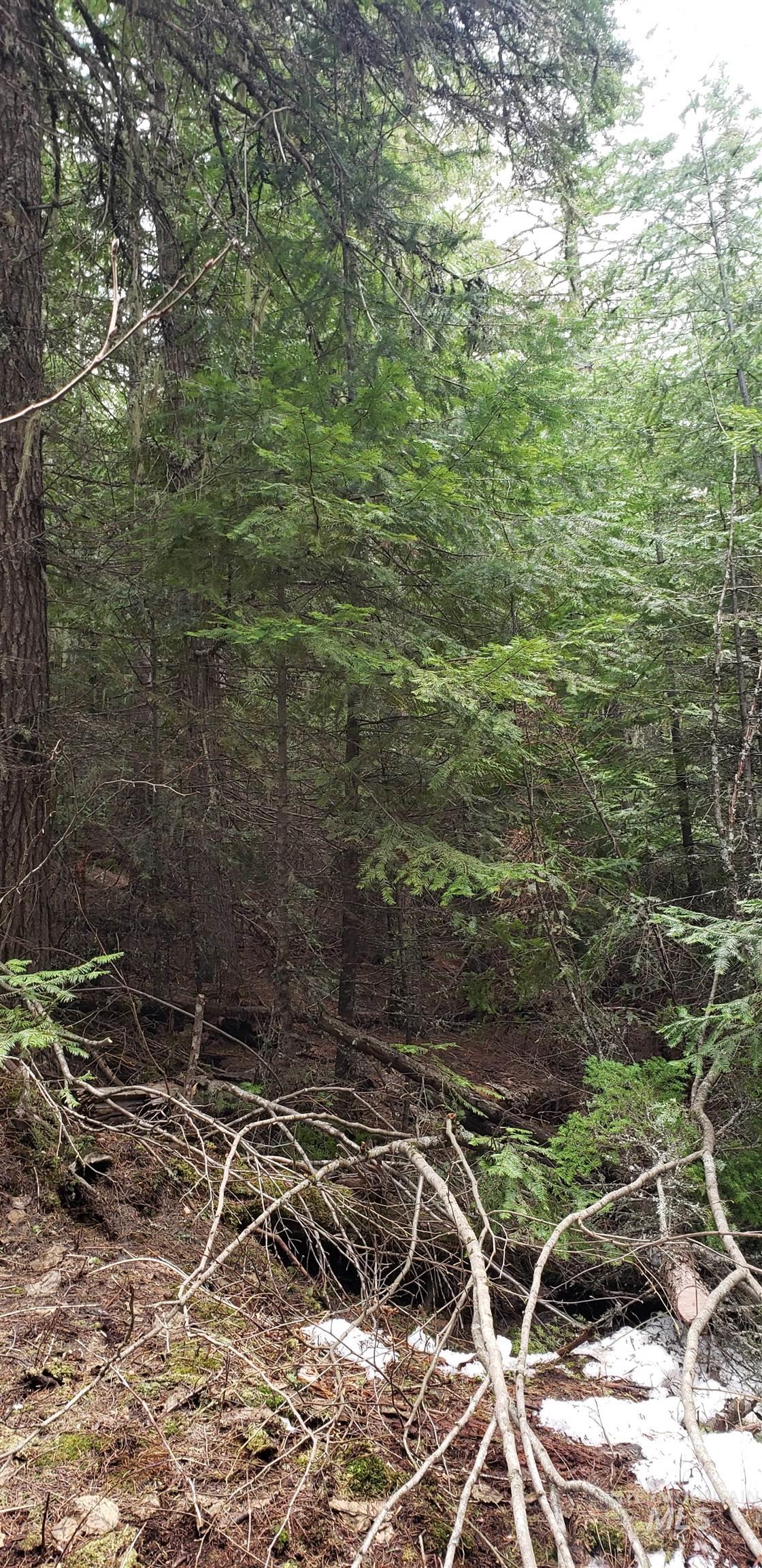 80 East Ridge Drive St. Maries, ID 83861 - Photo 27 of 33