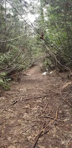 $62,000 | 80 East Ridge Drive, St. Maries, ID 83861