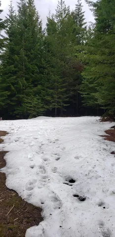 $62,000 | 80 East Ridge Drive, St. Maries, ID 83861