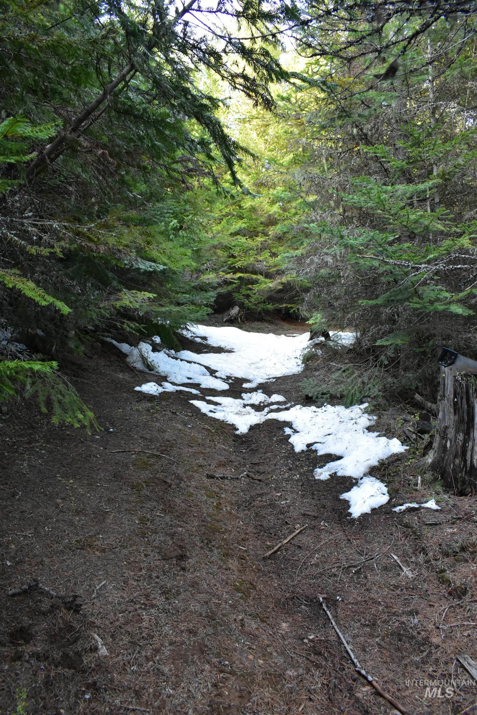 80 East Ridge Drive St. Maries, ID 83861 - Photo 33 of 33