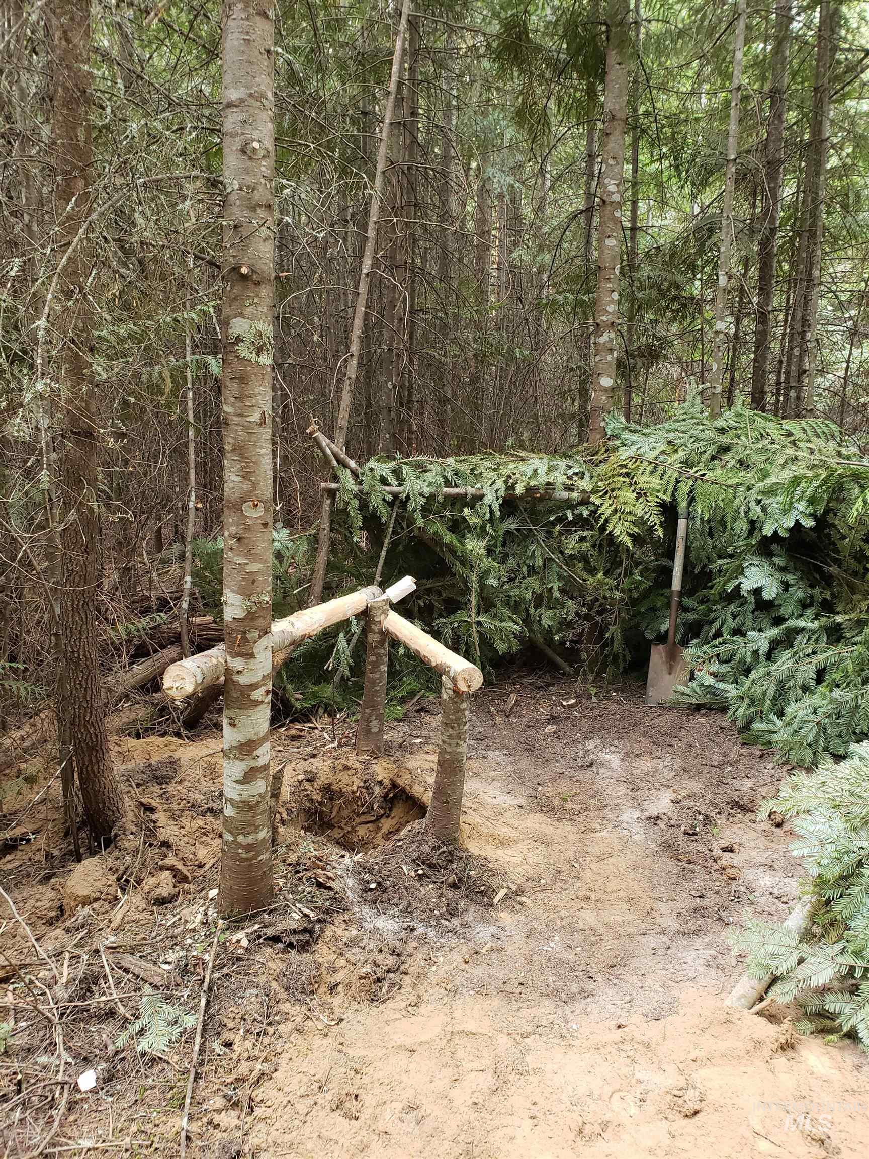 80 East Ridge Drive St. Maries, ID 83861 - Photo 7 of 33 View of nature