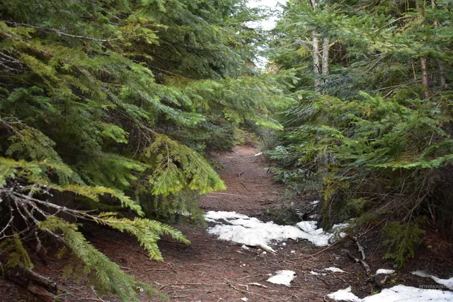 $62,000 | 80 East Ridge Drive, St. Maries, ID 83861