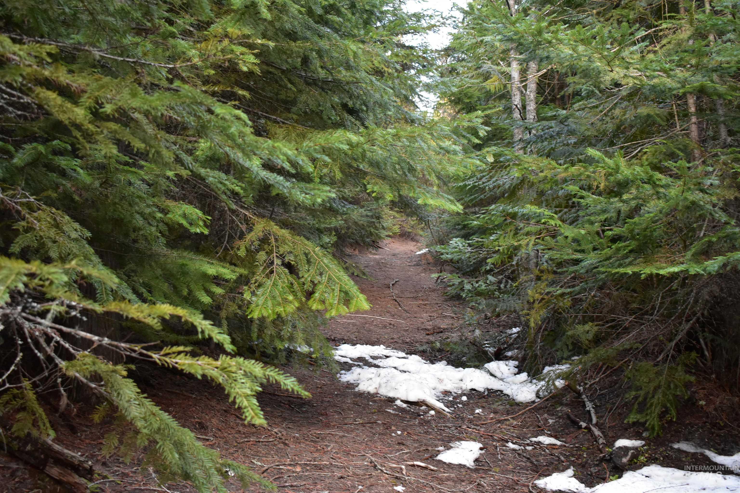 80 East Ridge Drive St. Maries, ID 83861 - Photo 9 of 33