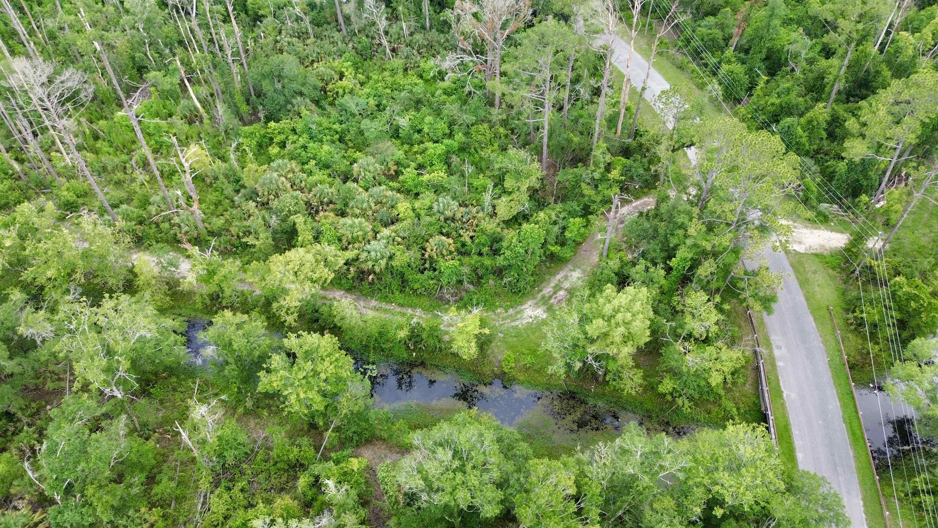 0 Cherry Street Perry, FL 32347 - Photo 3 of 8