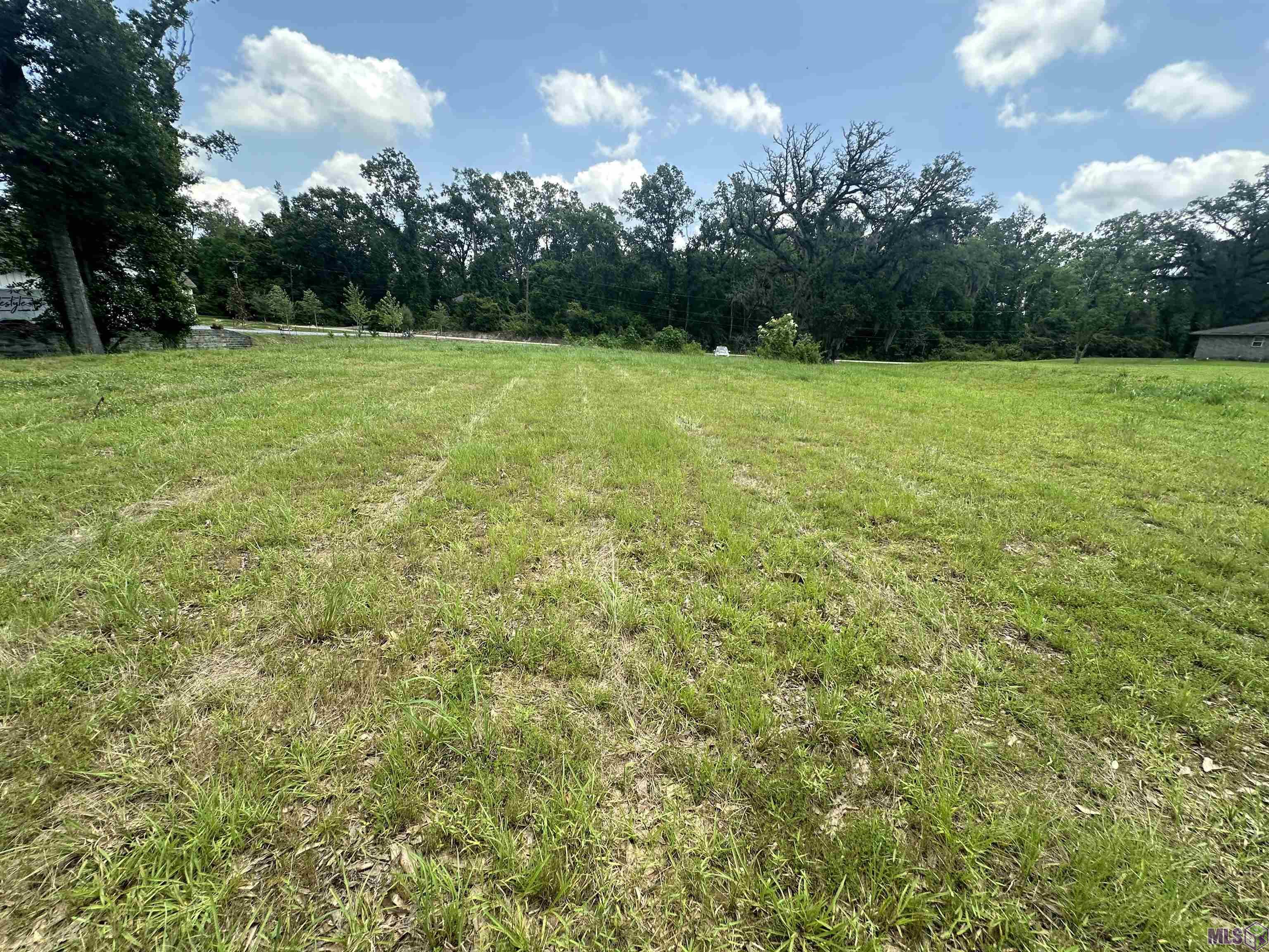 A-1 Swamp Road Prairieville, LA 70769 - Photo 1 of 4 Gallery Image 1