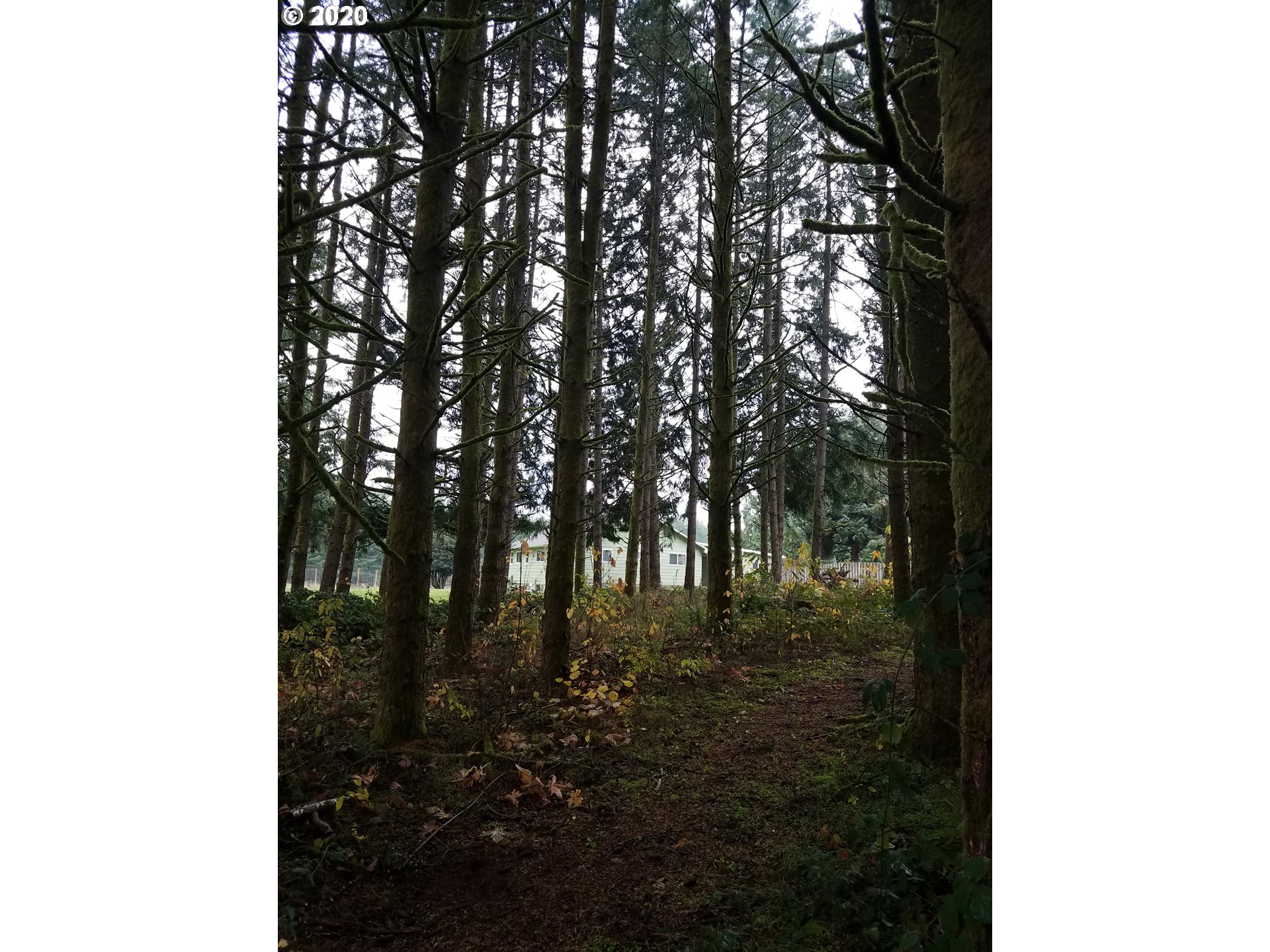 34225 East Kappler Road St. Helens, OR 97051 - Photo 24 of 26 Gallery Image 24