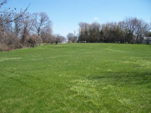 0 Tryon Grove Road Wonder Lake, IL 60097 - Photo 1 of 1 a view of grassy field with trees